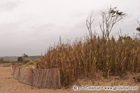 Hammonasset Beach State Park, Madison, Connecticut