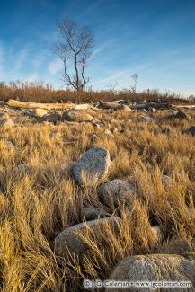 Hammonasset Beach State Park, Madison, Connecticut