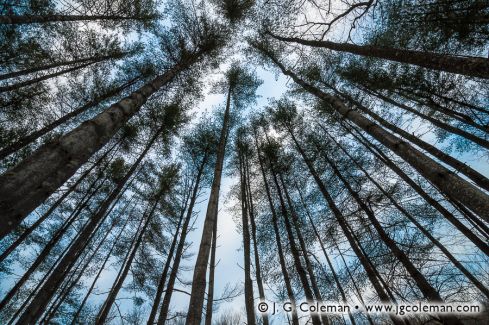 Hidden Valley Preserve, Washington, Connecticut