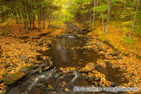 Bee Brook, Hidden Valley Preserve, Washington, Connecticut