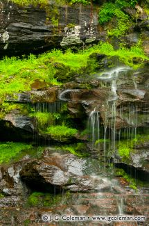 Plattekill Falls, Indian Head Wilderness, Hunter, New York