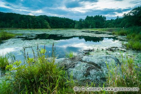 Sperry Pond at Juniper Hill Preserve, Middlebury, Connecticut