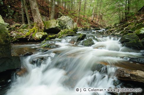 Kettletown Brook, Kettletown State Park, Southbury, Connecticut