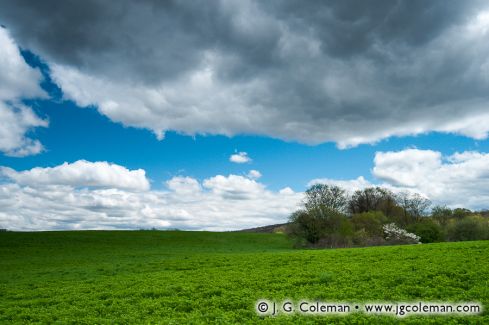 Macricostas Preserve, Washington, Connecticut