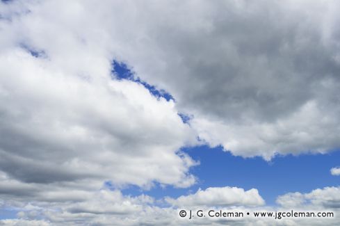 Macricostas Preserve, Washington, Connecticut