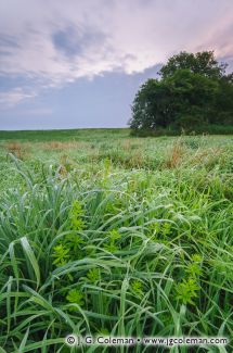 Macricostas Preserve, Washington, Connecticut