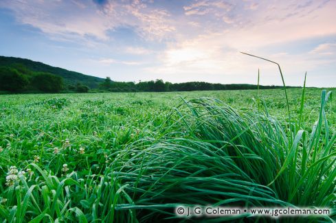 Macricostas Preserve, Washington, Connecticut