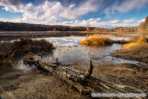 Great Pond, Massacoe State Forest, Simsbury, Connecticut