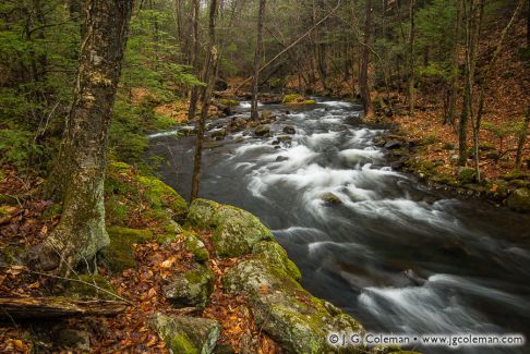 Hancock Brook, Mattatuck State Forest, Waterbury, Connecticut