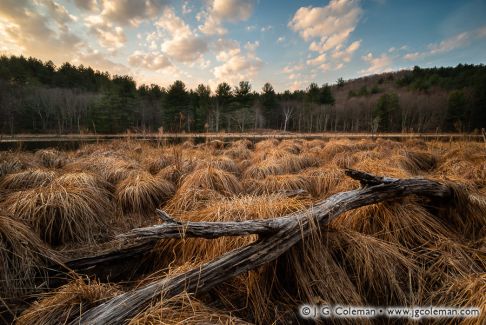 Rifle Range Pond, Mattatuck State Forest, Waterbury, Connecticut