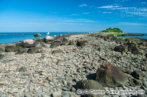Menunketesuck Island, McKinney National Wildlife Refuge, Westbrook, Connecticut