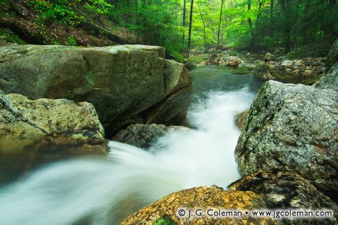 Beach Brook, McLean Game Refuge, Granby, Connecticut