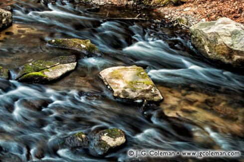 Mianus river, Mianus River, Mianus River Gorge Preserve, Bedford, New York