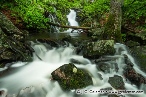 Havemeyer Falls, Mianus River Gorge Preserve, Bedford, New York