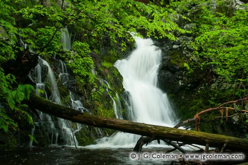 Havemeyer Falls, Mianus River Gorge Preserve, Bedford, New York