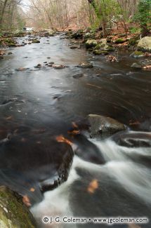 Mianus River, Mianus River State Park, Stamford, Connecticut