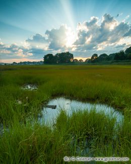 Salt marsh, Connecticut Coast