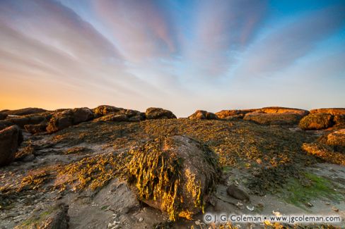 Chaffinch Island, Connecticut Coast