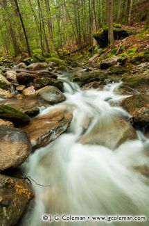 Spruce Brook, Naugatuck State Forest, Beacon Falls, Connecticut