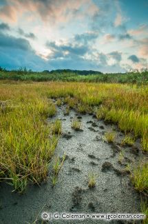 Ox Pasture Preserve, Madison, Connecticut