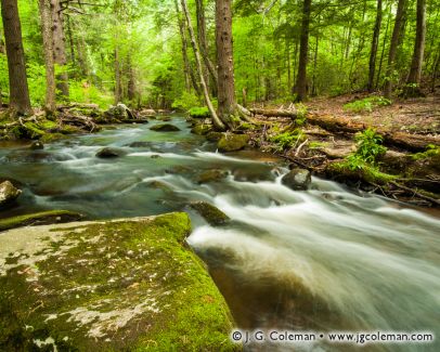 Mad River, Peterson Park, Wolcott, Connecticut