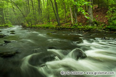 Pine Brook Preserve, Haddam, Connecticut