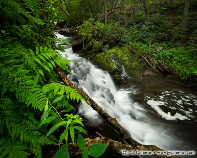 Clatter Valley Falls on Town Farm Brook, Pratt Valley Preserve, New Milford & Bridgewater, Connecticut