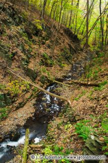 Roaring Brook, Roaring Brook Falls Park, Cheshire, Connecticut