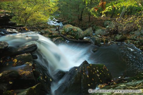 Roaring Brook Nature Center, Canton, Connecticut