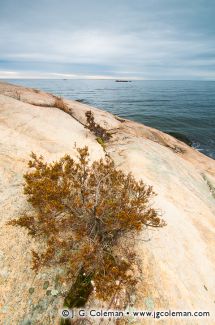 Rocky Neck State Park, East Lyme, Connecticut