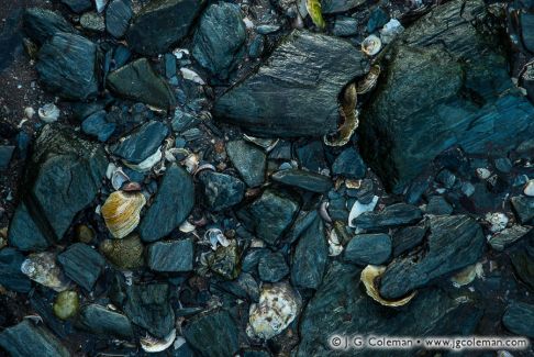 Bradley Point Park, West Haven, Connecticut