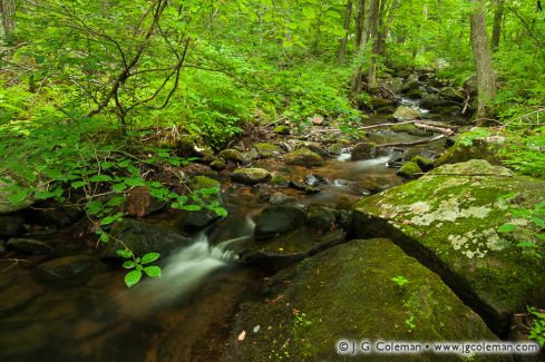 Lindsley Brook near Scovill Reservoir, Wolcott, Connecticut