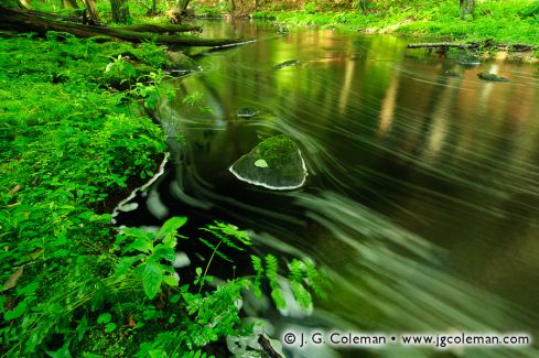 Sheepskin Hollow Preserve, East Haddam, Connecticut