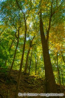 Sleeping Giant State Park, Hamden, Connecticut