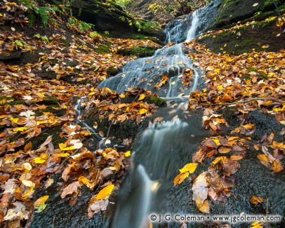 Gorge Cascade Falls, Sleeping Giant State Park, Hamden, Connecticut