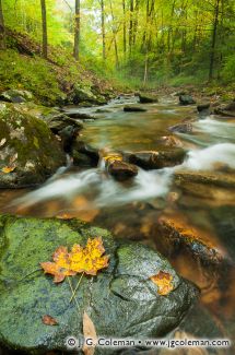 Steep Rock Preserve, Washington, Connecticut