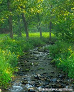 Kirby Brook, Steep Rock Preserve, Washington, Connecticut