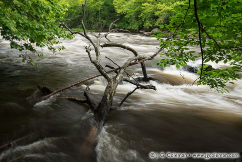 Farmington River at the Tariffville Gorge, Simsbury & East Granby, Connecticut