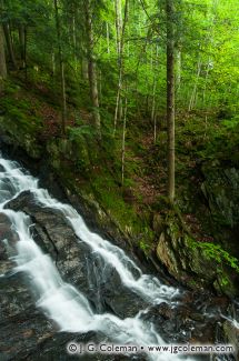 Thundering Brook Falls, Thundering Brook, Killington, Vermont
