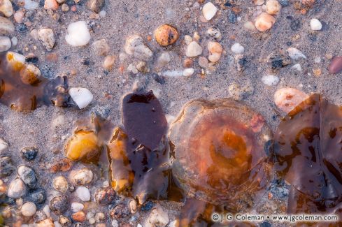 Westbrook Harbor, Westbrook, Connecticut