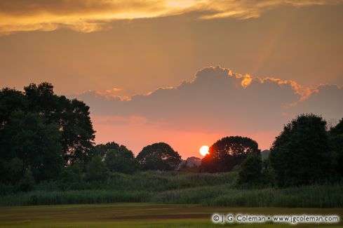 Salt marsh near Patchogue River, Westbrook, Connecticut