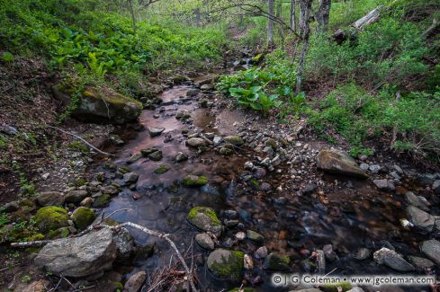 Jack's Brook, Brian E. Tierney Preserve, Roxbury, Connecticut