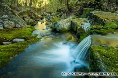 Falls Brook, Tunxis State Forest, Hartland, Connecticut