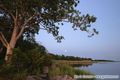 Elizabeth B. Carter Watch Rock Preserve, Old Lyme, Connecticut