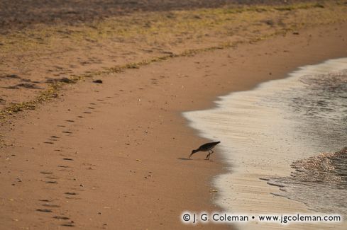West Beach at Westbrook Harbor, Westbrook, Connecticut