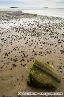 West Beach at Westbrook Harbor, Westbrook, Connecticut