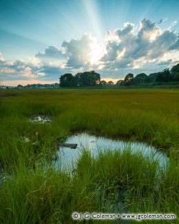 Salt Marsh on the Patchogue River near Westbrook Harbor, Westbrook, Connecticut