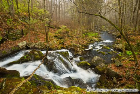 Whigville Falls, Burlington, Connecticut