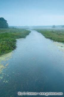 Little River, White Memorial Foundation, Litchfield, Connecticut