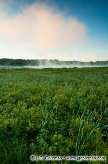 Little Pond, White Memorial Foundation, Litchfield, Connecticut